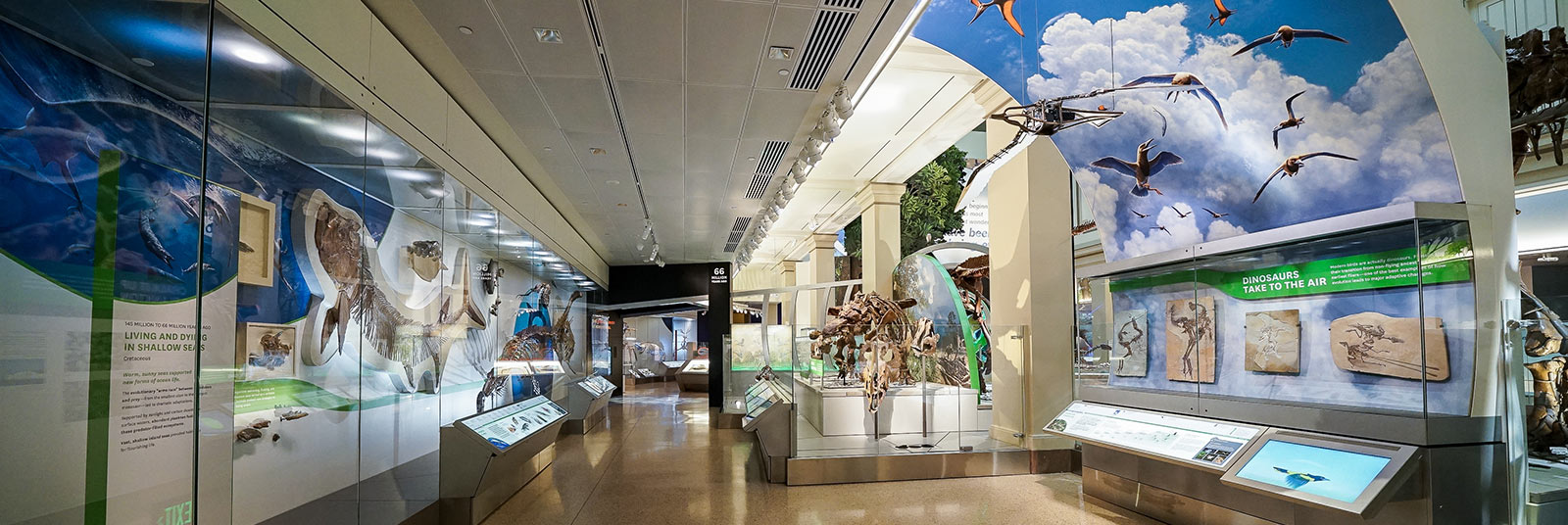 Display cases within the Deep Time exhibit at the Smithsonian National Museum of Natural History in Washington, DC